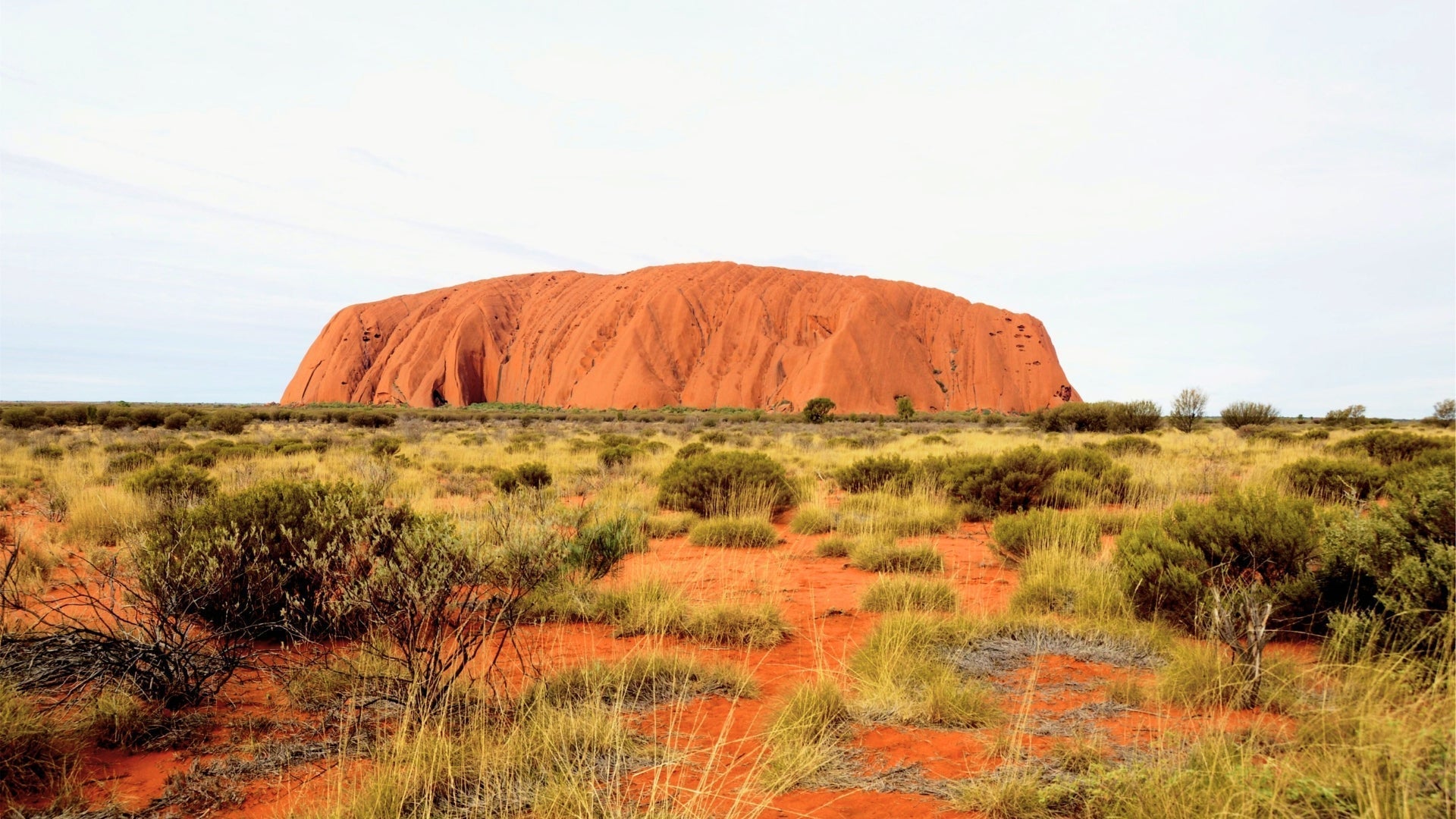 Why Water Conservation Matters More Than Ever in Australia