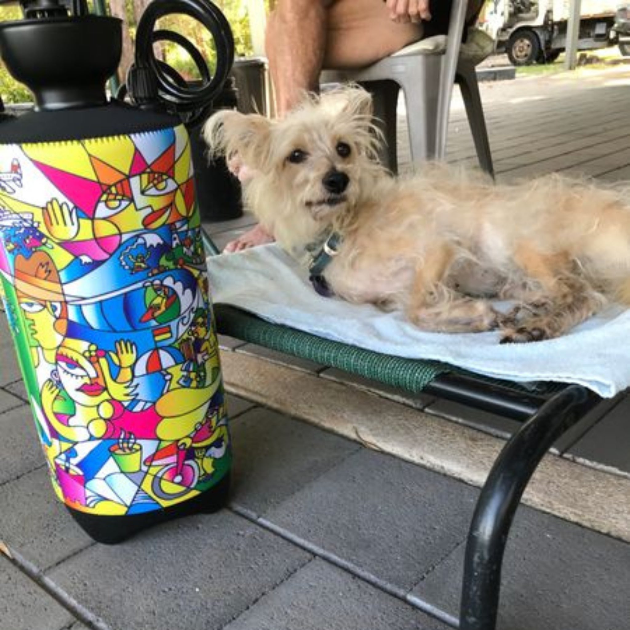 Portable Shower Livin' the Dream 8L