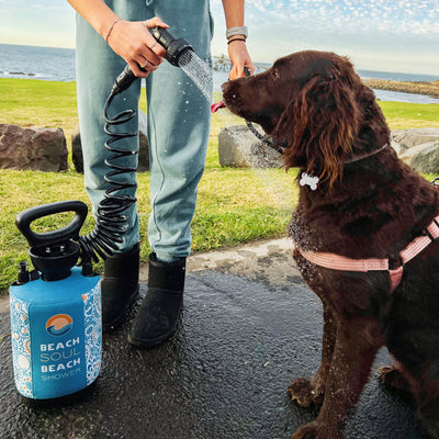 Portable Shower Bliss Out 5L